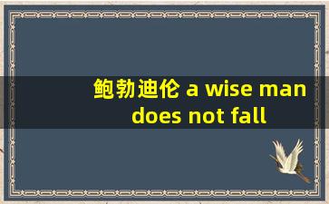 鲍勃迪伦 a wise man does not fall in love